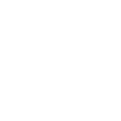 Strategic Workforce Leadership and Transformation